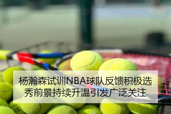 杨瀚森试训NBA球队反馈积极选秀前景持续升温引发广泛关注